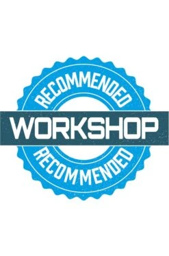 Sealey 1020LEO 2tonne Low Entry Short Chassis Trolley Jack - Orange -Router Shop sealey 1020leo 2tonne low entry short chassis trolley jack orange 2